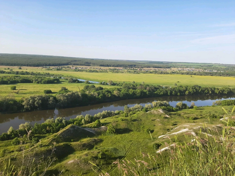 Image uploaded by Daria