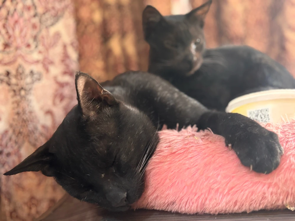 GIF uploaded by Aryan