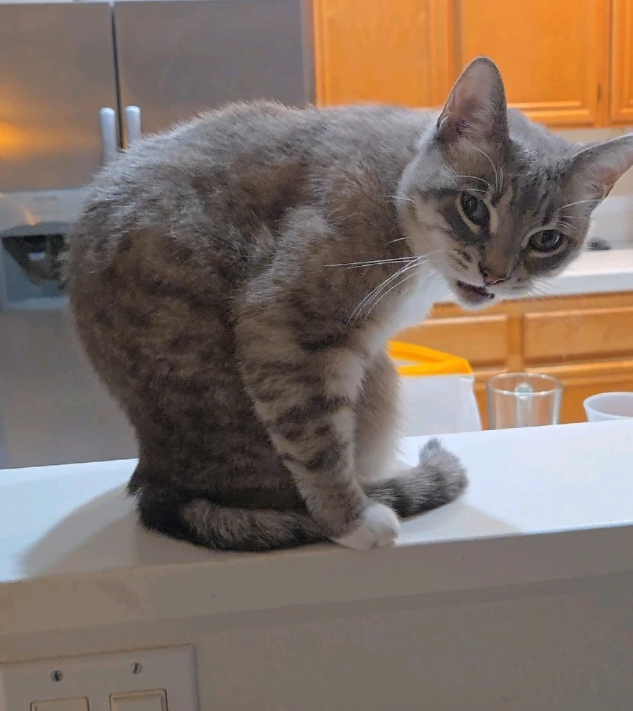 GIF uploaded by Moises