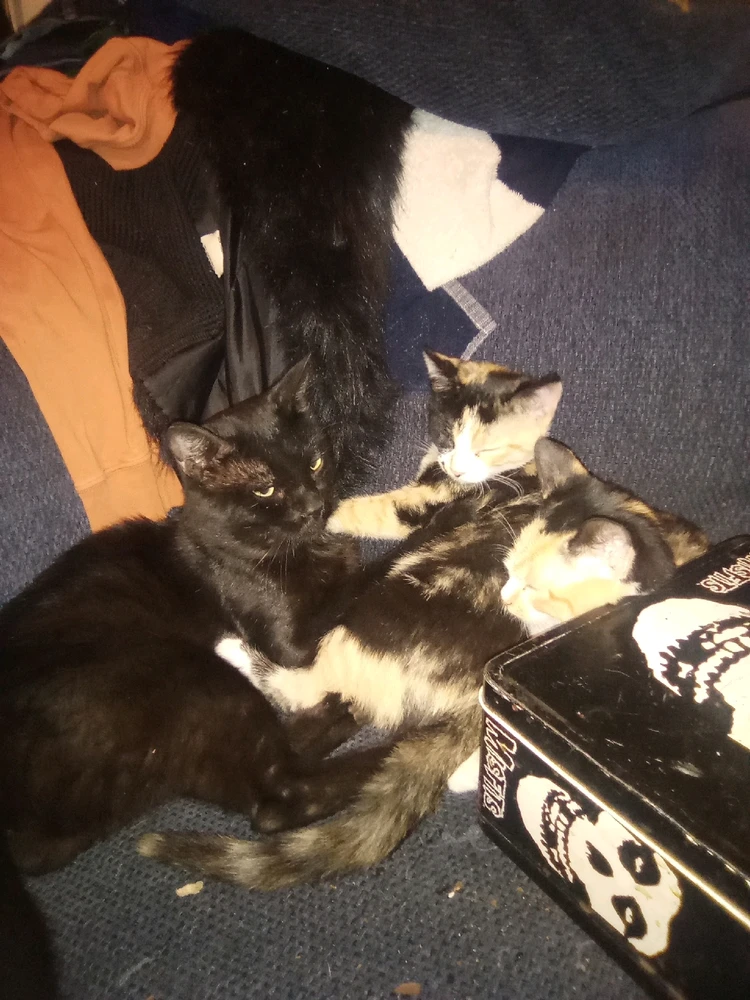 Image uploaded by Andrew