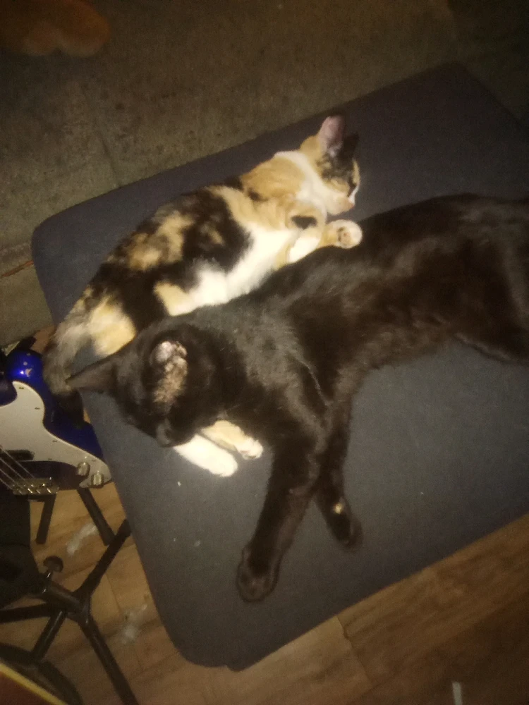 Image uploaded by Andrew