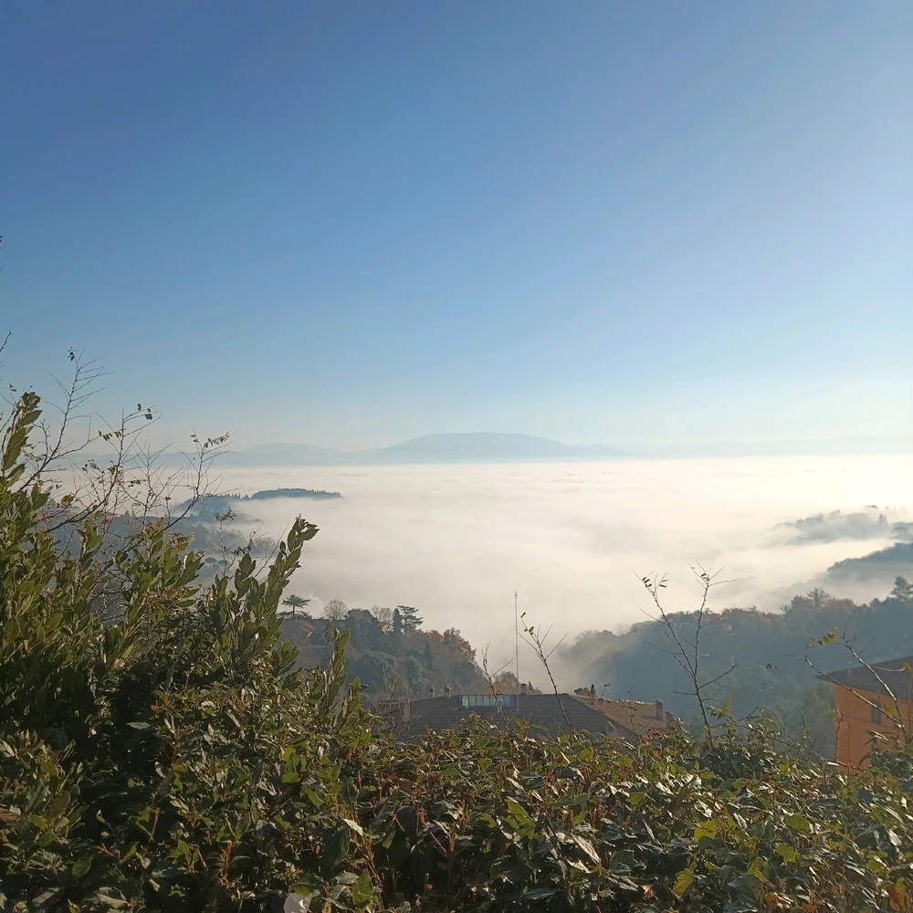 GIF caricata da Sara