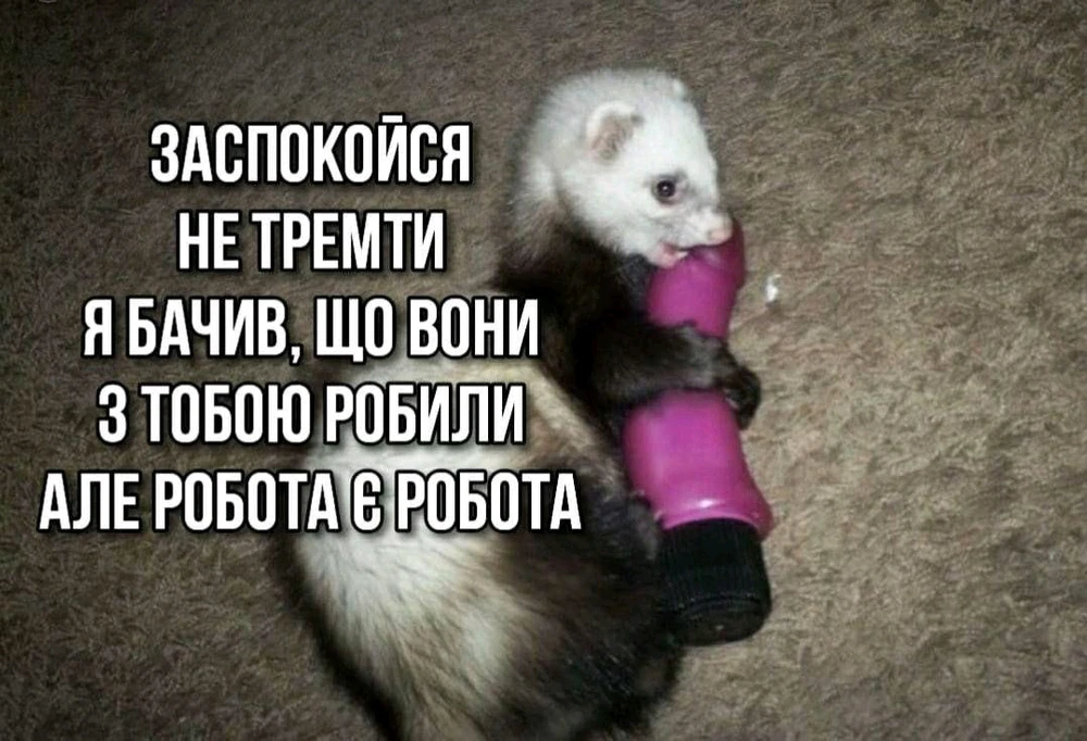 Гіфку завантажив Black Mirror (◔‿◔)