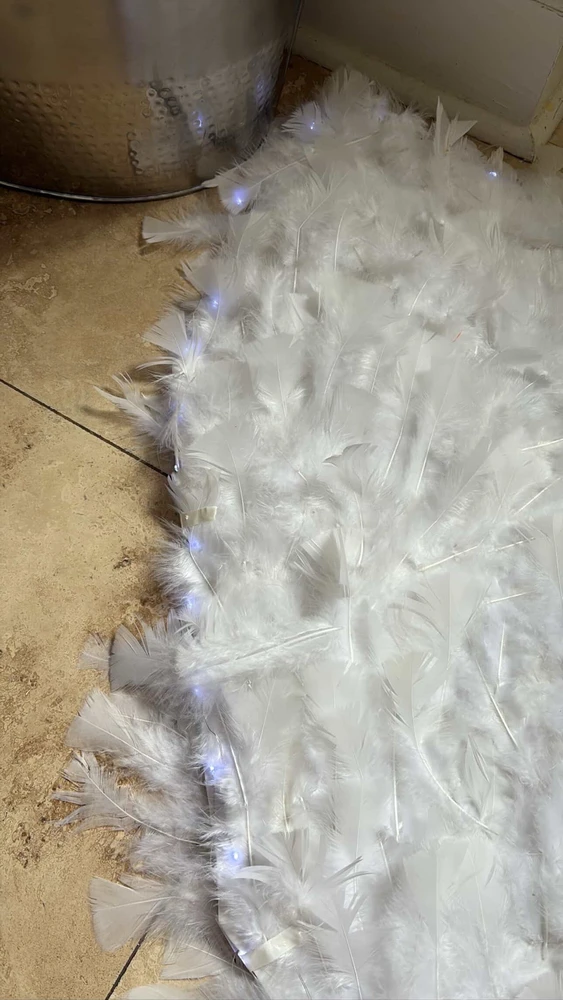 Image uploaded by Sarah