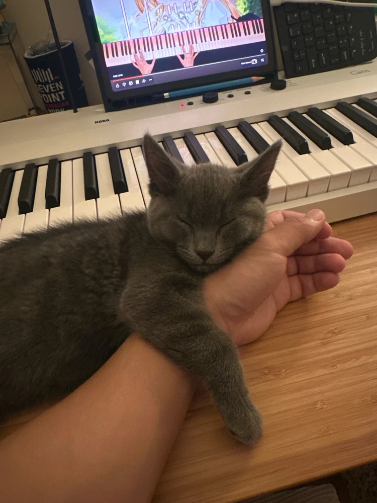 GIF uploaded by Tigerala