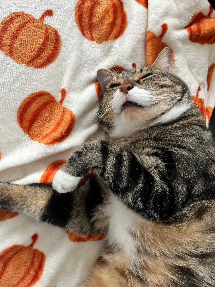 GIF ajouté par Julie