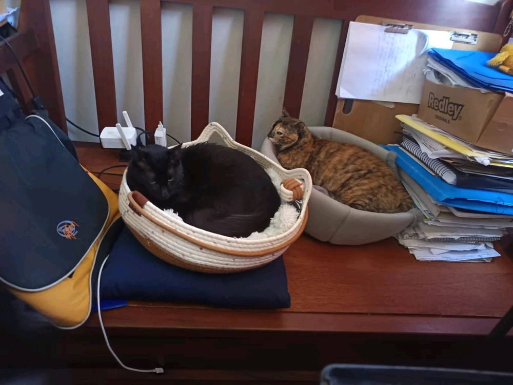 GIF enviado por Bernardo