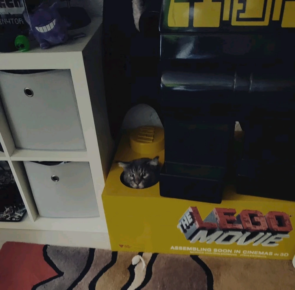 GIF hochgeladen von Berry