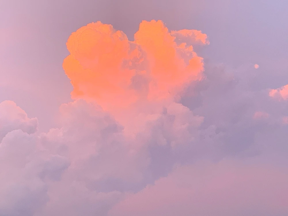 Image uploaded by Kane