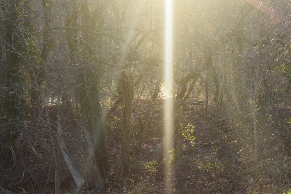 Image uploaded by Kane