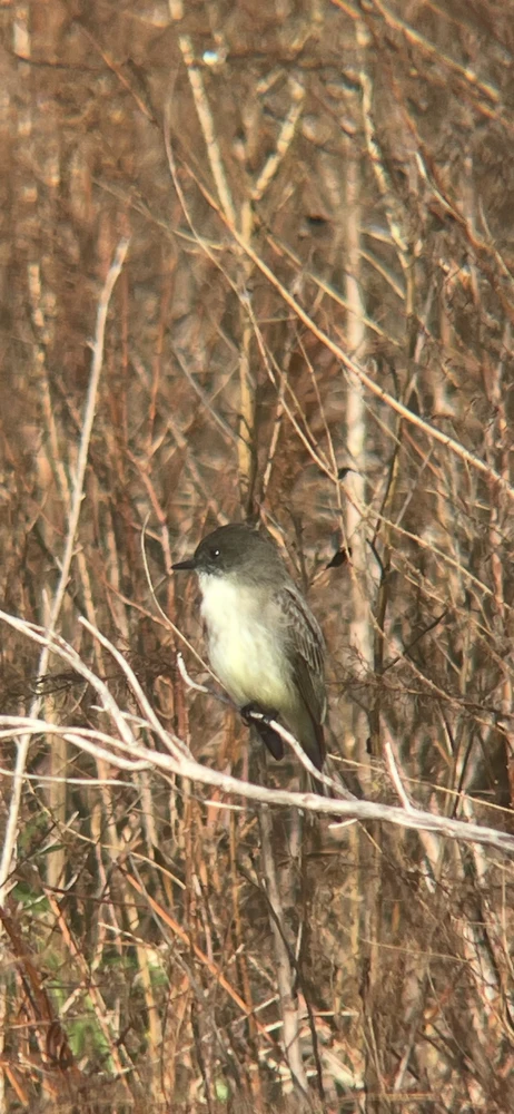 Image uploaded by Jackson