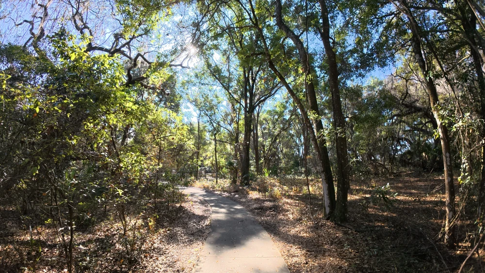 Image uploaded by Jackson