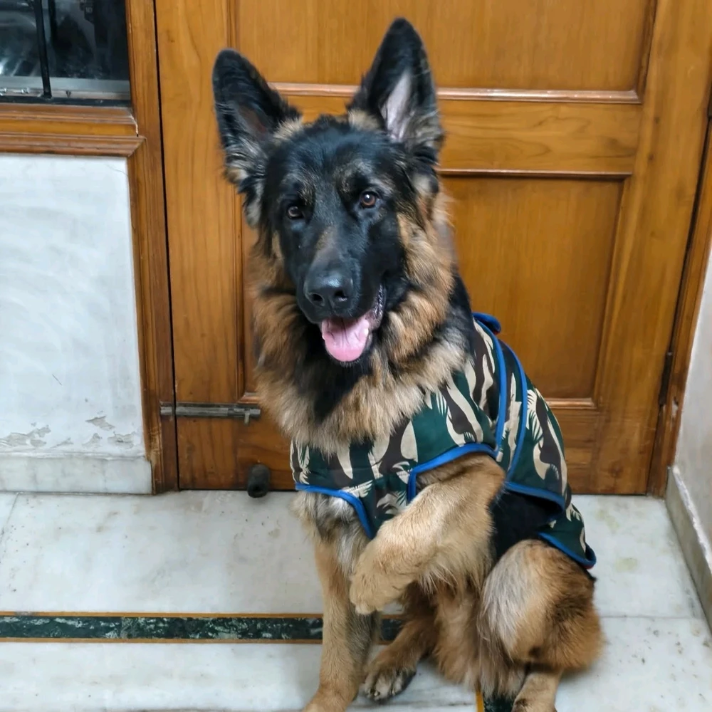 Image uploaded by John Paul Bennett