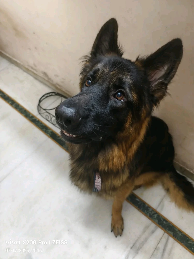 Image uploaded by John Paul Bennett