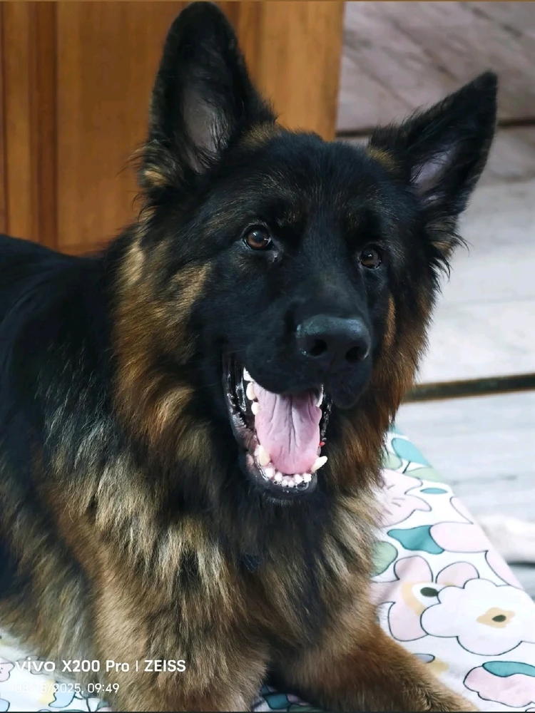 Image uploaded by John Paul Bennett