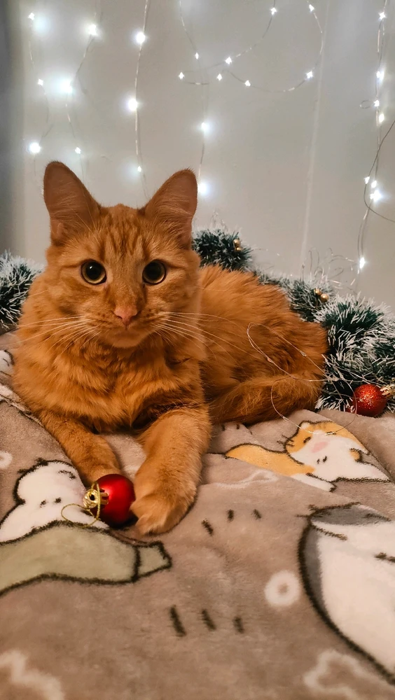 GIF dodany przez Anita