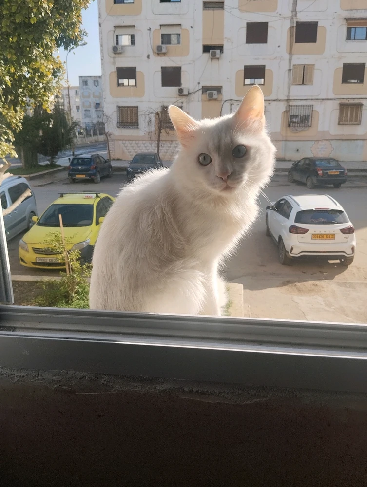 GIF uploaded by Kun iheb