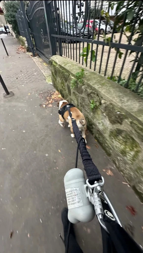 GIF ajouté par Taha