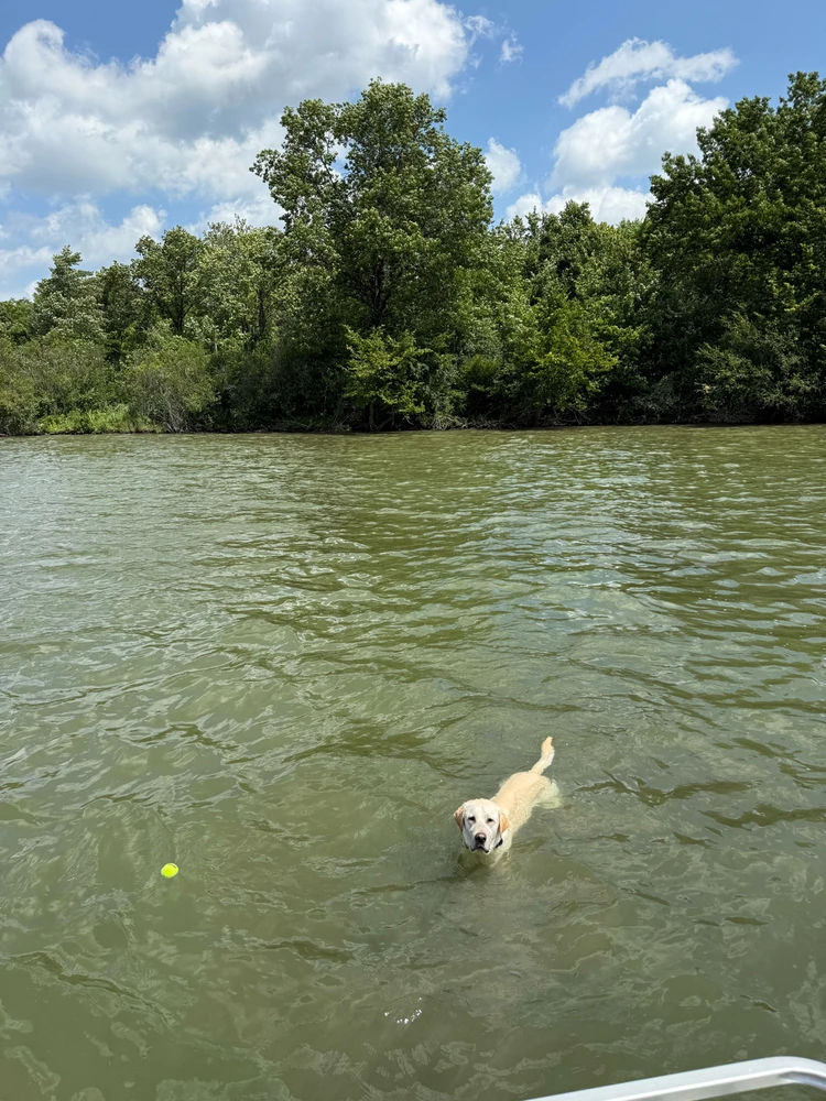 Image uploaded by Ian