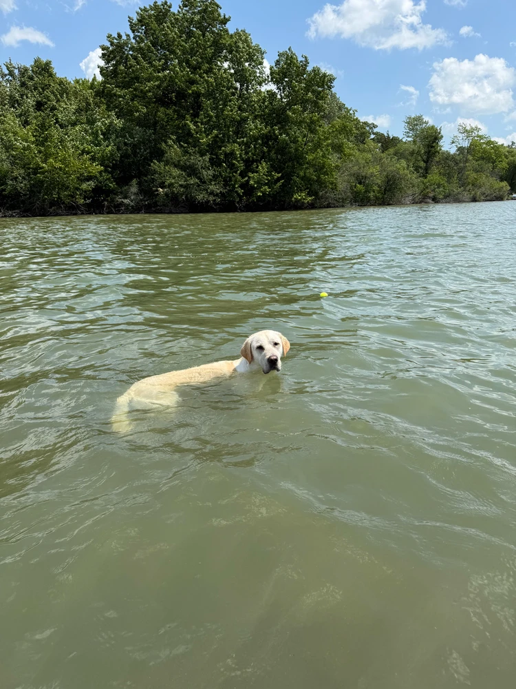 Image uploaded by Ian