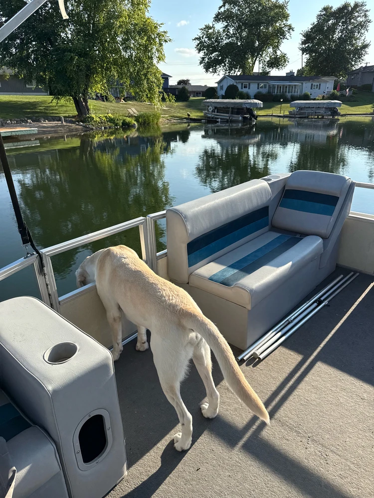 Image uploaded by Ian