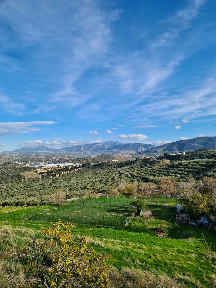 Image uploaded by Abdoulie Jallow