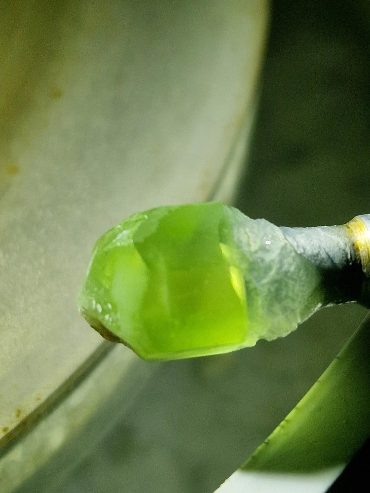 GIF hochgeladen von ⭐MISFIT⭐