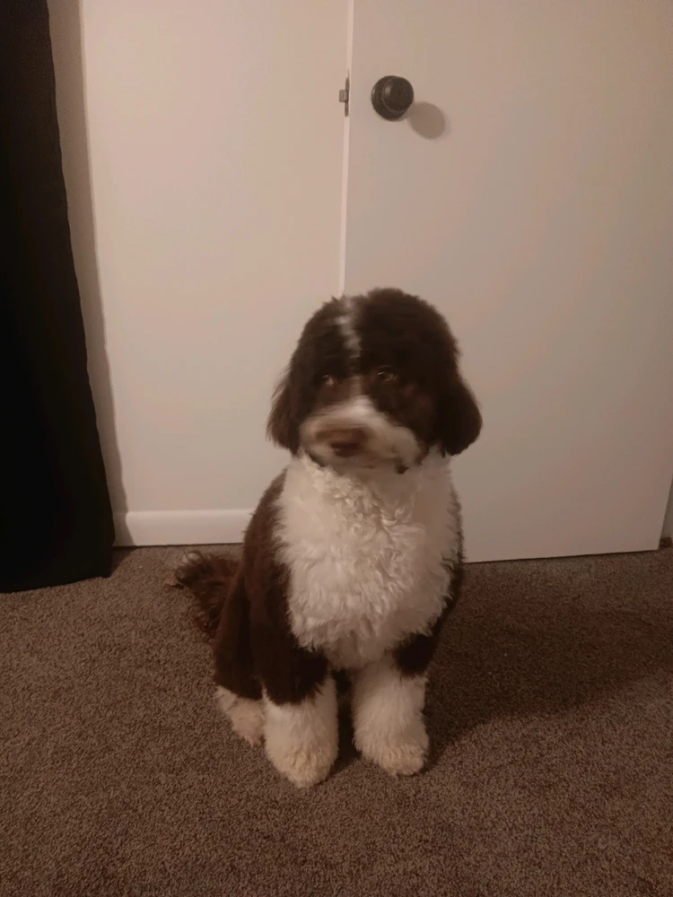 Image uploaded by Ian