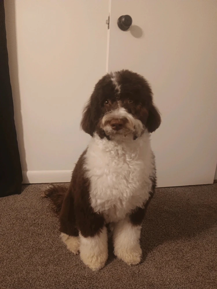 Image uploaded by Ian