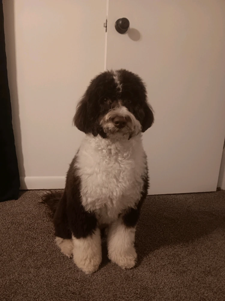 Image uploaded by Ian