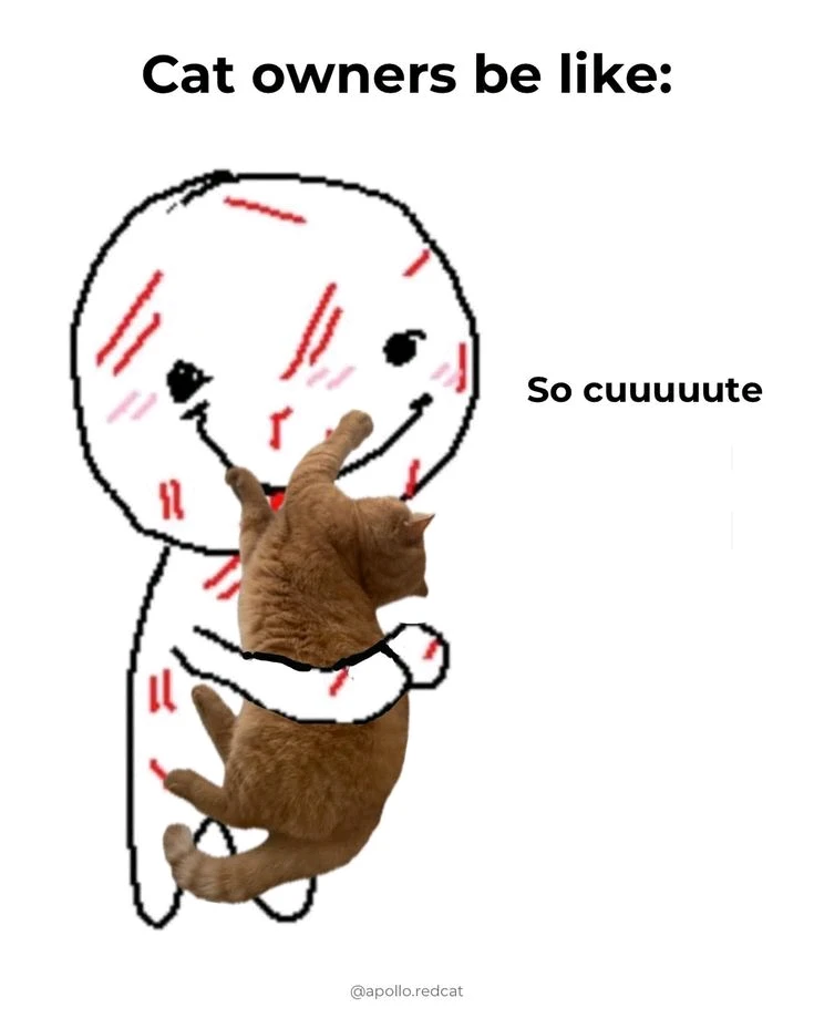 GIF uploaded by fatima