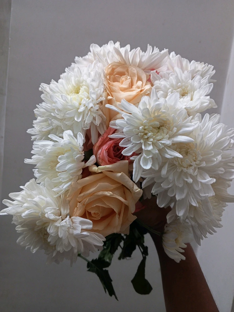 Image uploaded by Evi