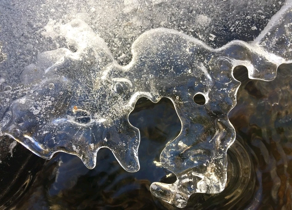 GIF uploaded by Chani