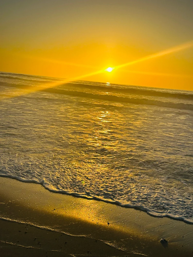 Image uploaded by Qew