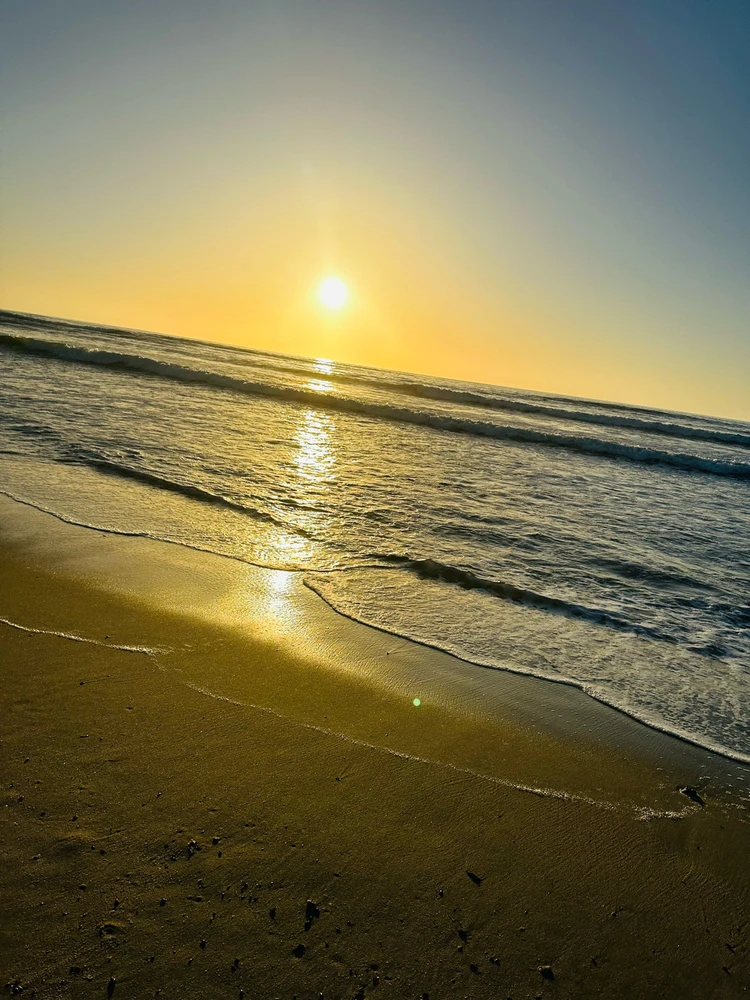 Image uploaded by Qew