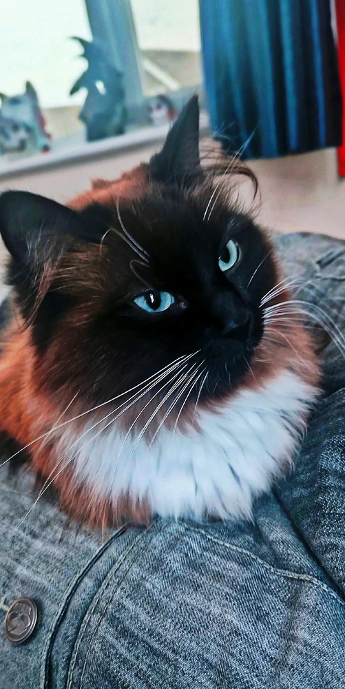 GIF uploaded by Andy