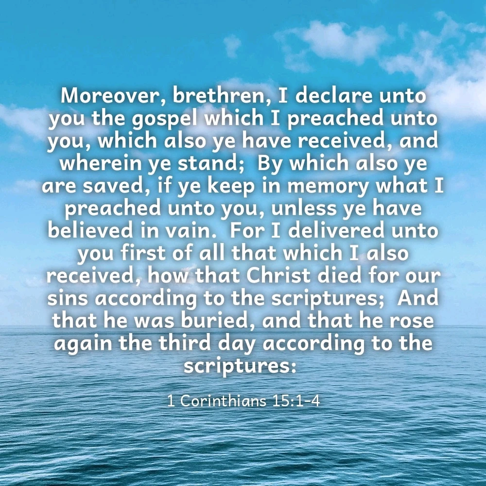 GIF uploaded by Larry