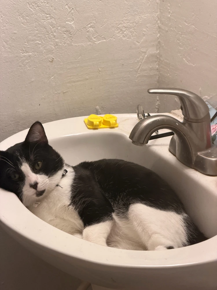 GIF uploaded by Lauren