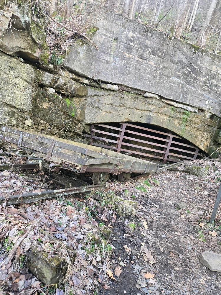 Image uploaded by Ethan