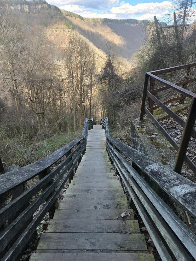 Image uploaded by Ethan