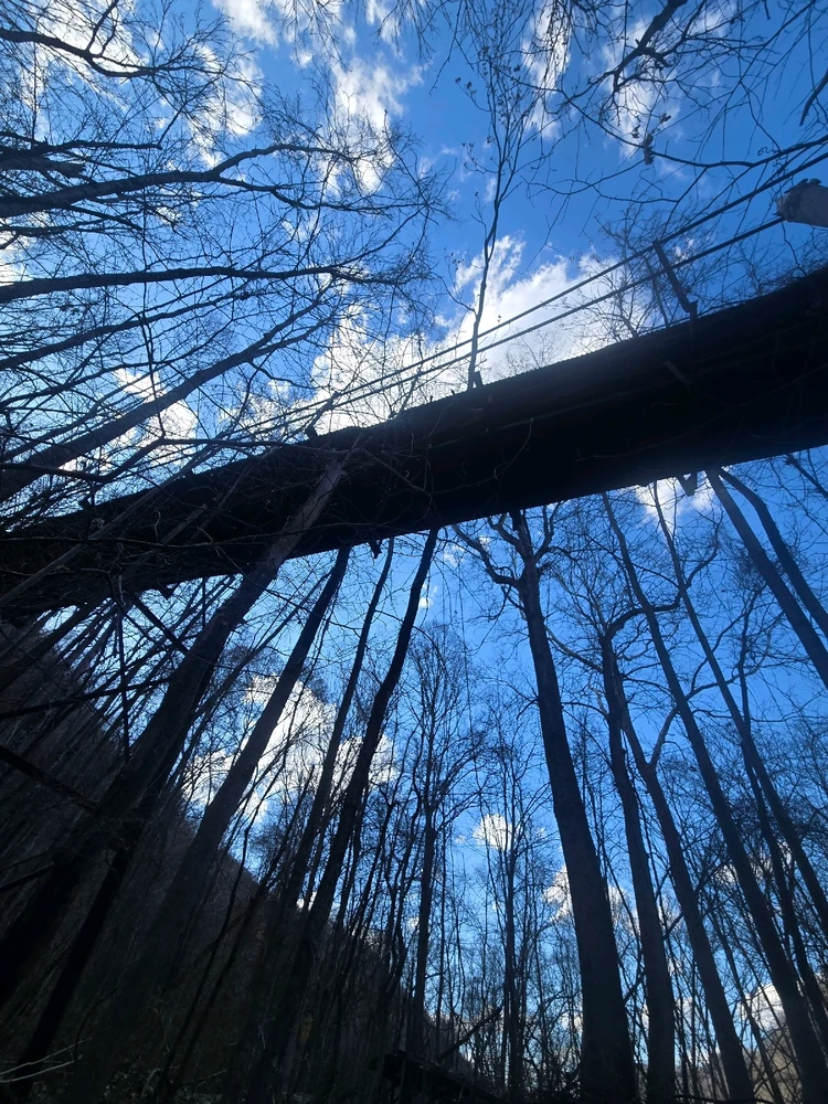 Image uploaded by Ethan