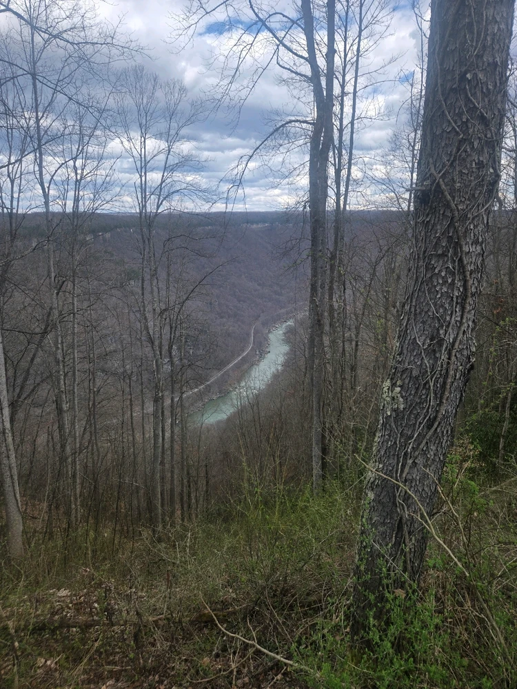 Image uploaded by Ethan