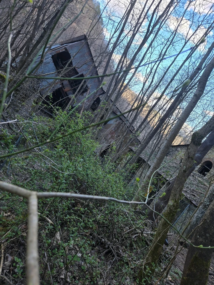 Image uploaded by Ethan