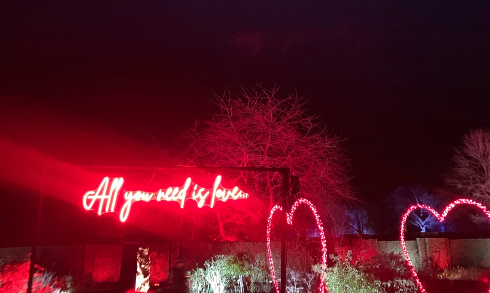 GIF uploaded by 🦄Olivia