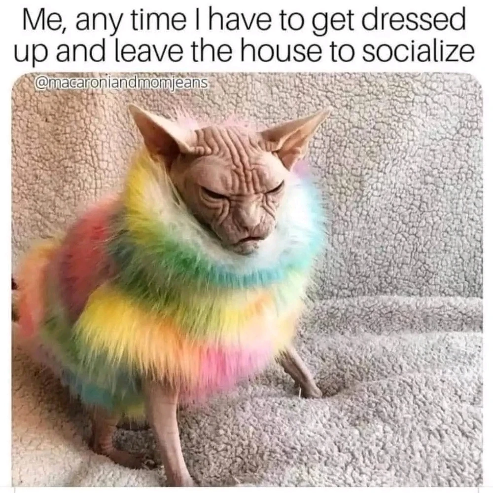 GIF uploaded by ❤ Sophia aka Mango Mami ❤️