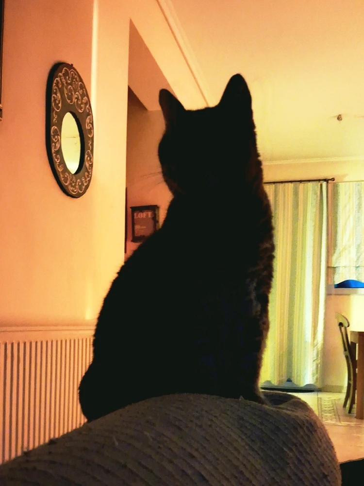 GIF uploaded by Michalis