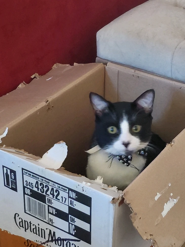 GIF uploaded by Amanda