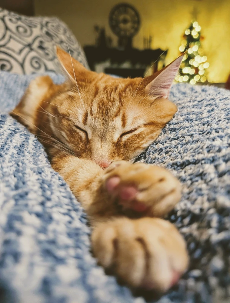 GIF uploaded by Melissa