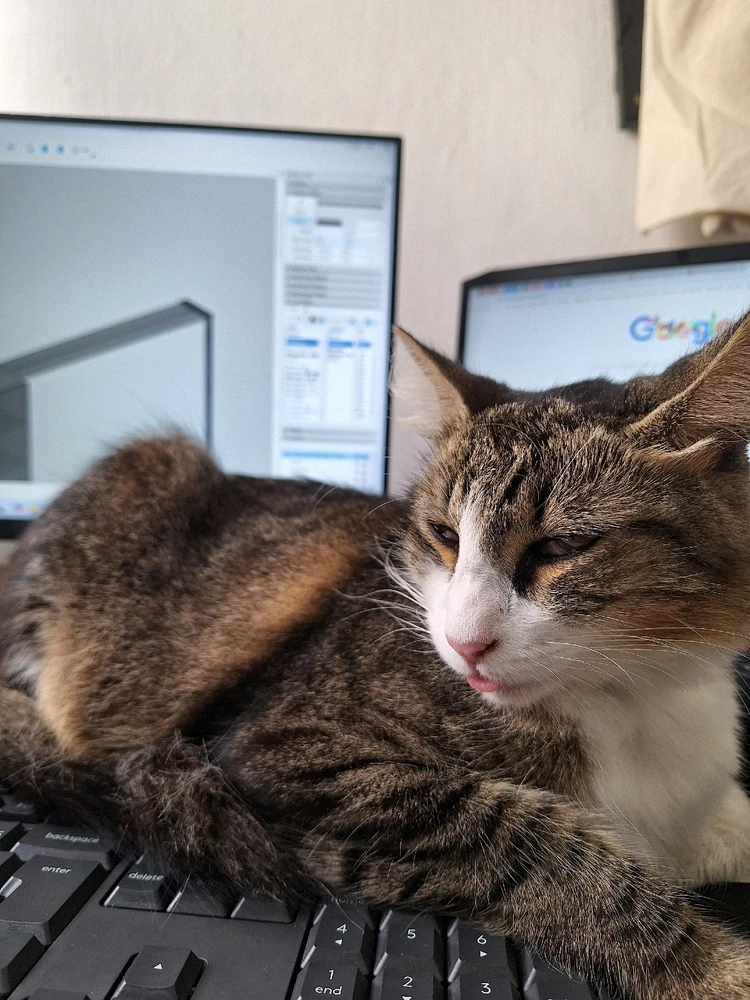 GIF enviado por Augusto