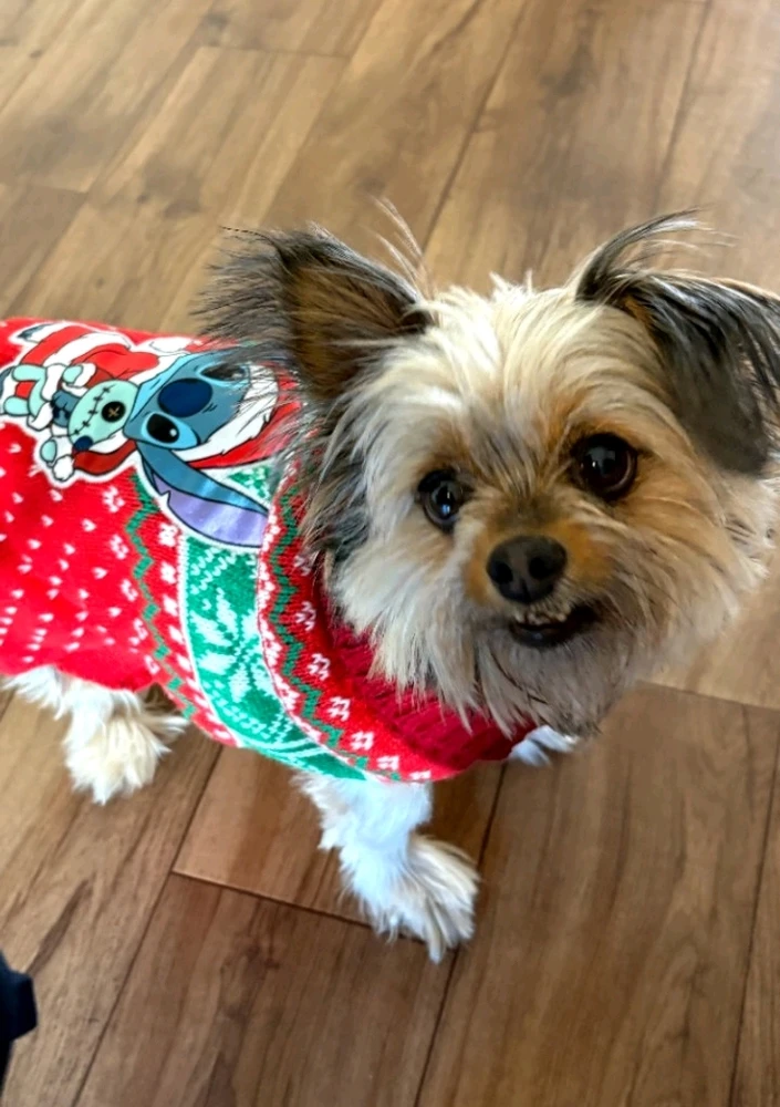 Image uploaded by Angie